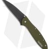Kershaw Leek Assisted Opening Knife OD Green (3" Black ) 1660OLBLK -Outdoor Practical Tool Shop Kershaw Leek OD Green black BHQ 79637 er