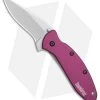 Kershaw Scallion Assisted Opening Knife Purple (2.25" Bead Blast) 1620PUR 1 Kershaw Scallion Assisted Opening Knife Purple (2.25" Bead Blast) 1620PUR -Outdoor Practical Tool Shop Kershaw Scallion purple bb BHQ 14804 er