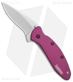 Kershaw Scallion Assisted Opening Knife Purple (2.25" Bead Blast) 1620PUR