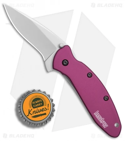 Kershaw Scallion Assisted Opening Knife Purple (2.25" Bead Blast) 1620PUR 6 Kershaw Scallion Assisted Opening Knife Purple (2.25" Bead Blast) 1620PUR - Image 4