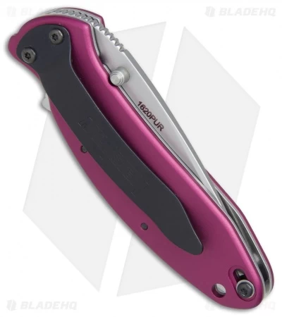 Kershaw Scallion Assisted Opening Knife Purple (2.25" Bead Blast) 1620PUR 4 Kershaw Scallion Assisted Opening Knife Purple (2.25" Bead Blast) 1620PUR - Image 2