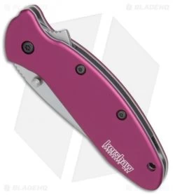 Kershaw Scallion Assisted Opening Knife Purple (2.25" Bead Blast) 1620PUR 8 Kershaw Scallion Assisted Opening Knife Purple (2.25" Bead Blast) 1620PUR -Outdoor Practical Tool Shop Kershaw Scallion purple bb BHQ 14804 er spine
