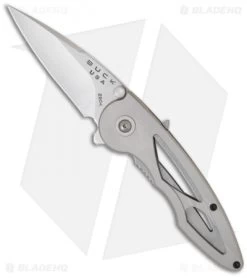 Buck Knives Buck Rush Knife Assisted Opening Platinum (2.5" Satin) 0290PLS-B