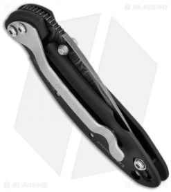 Kershaw Chive Assisted Opening Knife Black (1.94" Damascus) 1600DAMBK -Outdoor Practical Tool Shop kershaw black damascus plain 1600damckt chive side