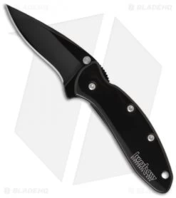 Kershaw Chive Assisted Opening Knife Black (1.94" Black) 1600BLK